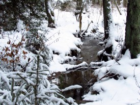 Zima v lesích okolo hotelu - potok