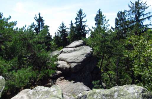 Čtyři palice – skála Paličatá (skalní útvar 730 m n. m.)